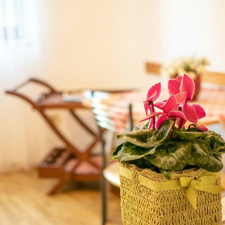 Apartments Mirjana Пула Екстериор снимка